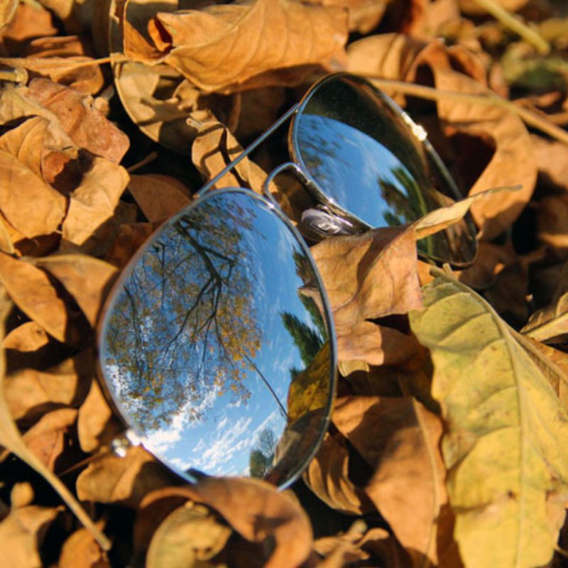 ShadesDaddy's tweet photo. Fall is not complete without aviators! Shop our stylish collection of #RayBan #aviators on https://t.co/dLJ9OwwFbd today! https://t.co/w1qJd3OnUy
