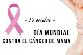 ElNacionalEnElAula tweet media