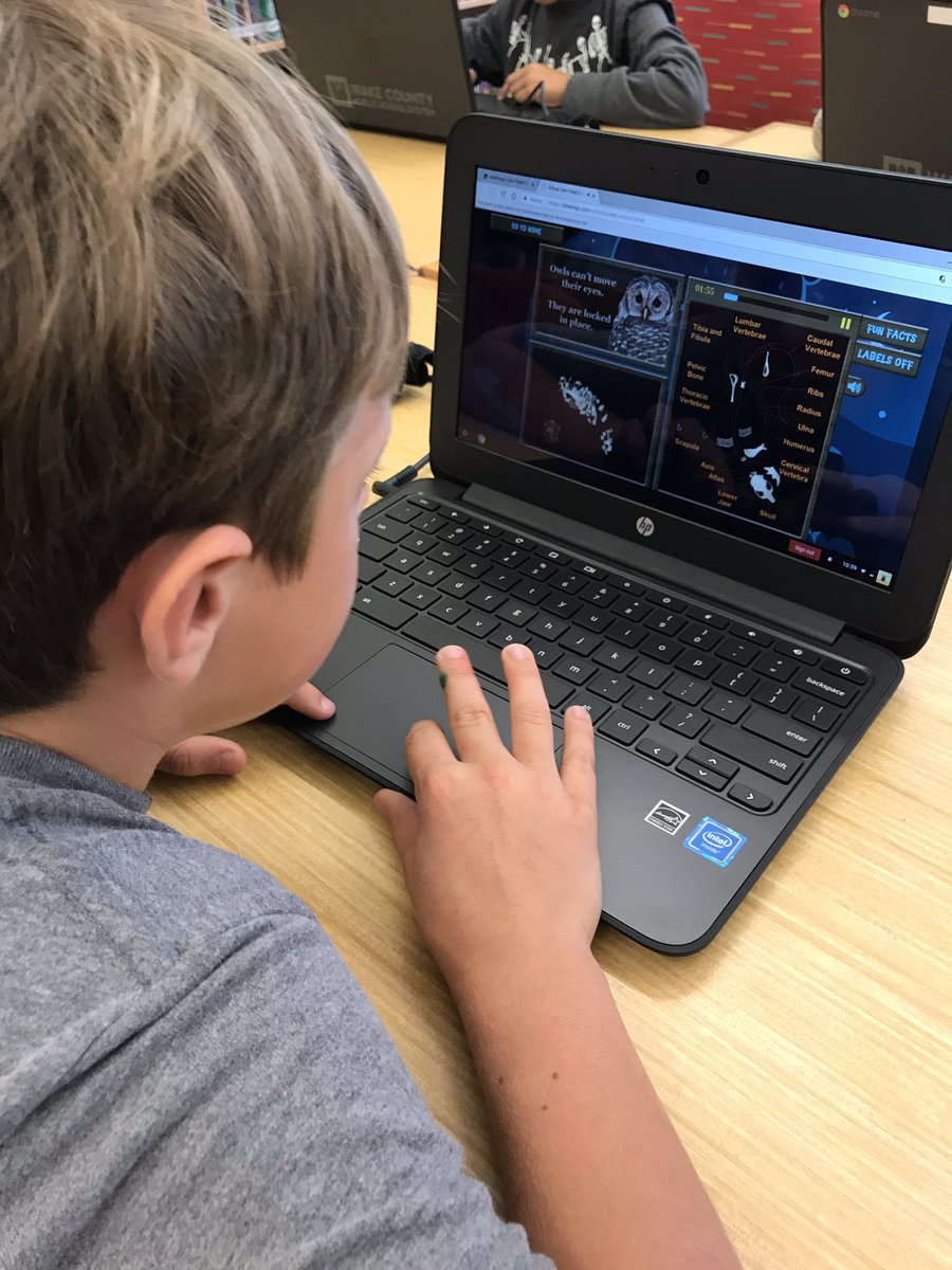 AFESMedia's tweet image. 3rd graders are breaking in the new chrome books in the media center by dissecting virtual owl pellets! #technologyisamazing #WonderWake @SREThird @mleach2