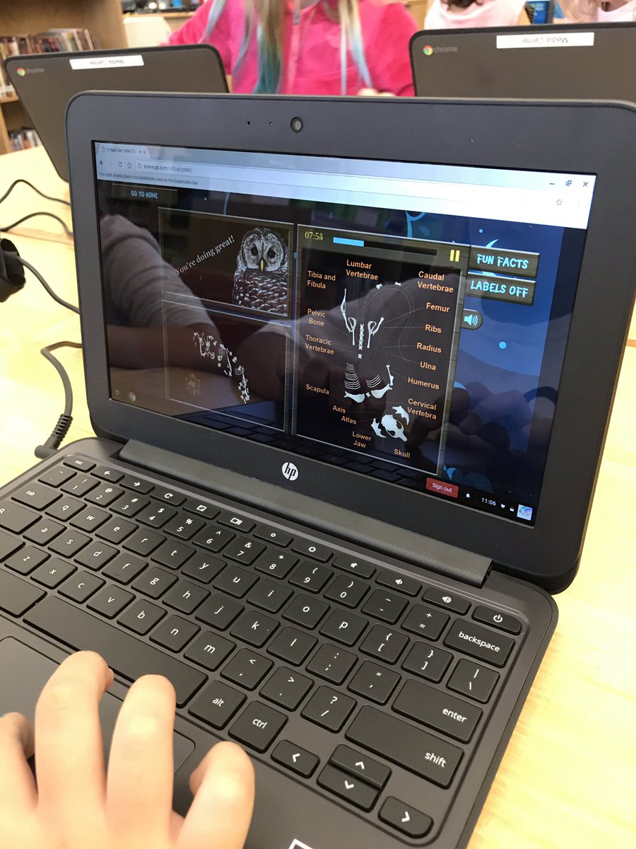 AFESMedia's tweet image. 3rd graders are breaking in the new chrome books in the media center by dissecting virtual owl pellets! #technologyisamazing #WonderWake @SREThird @mleach2