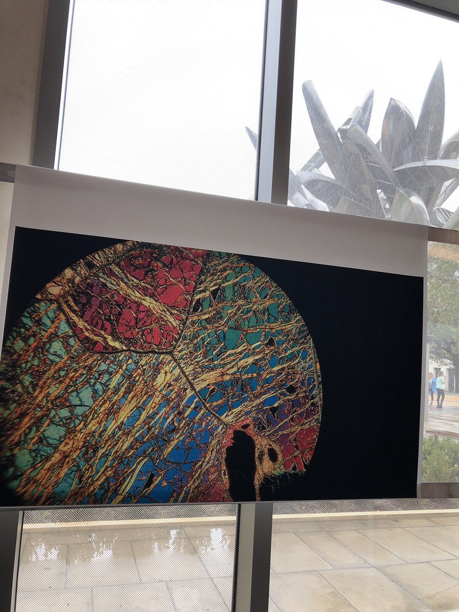 StudentDeanCNS's tweet image. Soaking in the art at Art and Science for #NSWeek @TexasScience @UTNSC 
Now (Friday 10-noon) NHB 1.702 (by the @LandmarksUT Monochrome “Canoes”)