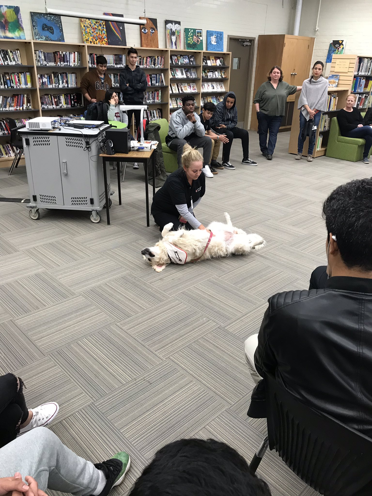 Greenwood S S On Twitter Yesterday We Welcomed Two Therapy Dogs