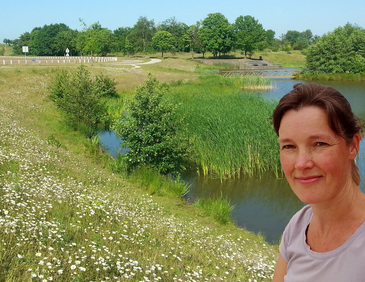 De Vitale Groene Stad - Opinie: Ecologisch groen moet de norm worden tinyurl.com/ycf2d3rj