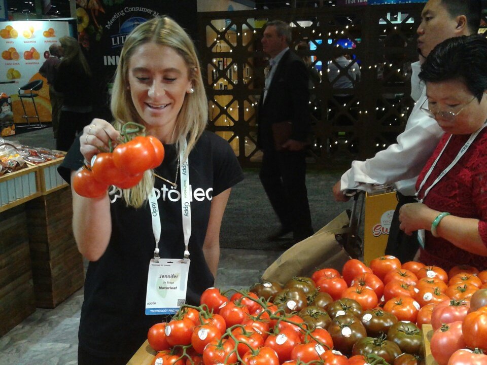 Motorleaf's tweet photo. Beautiful tomatoes on display @ShopRedSun at #pmafresh.
#greenhouse #tomato #pepper https://t.co/5fZU2XWLBx