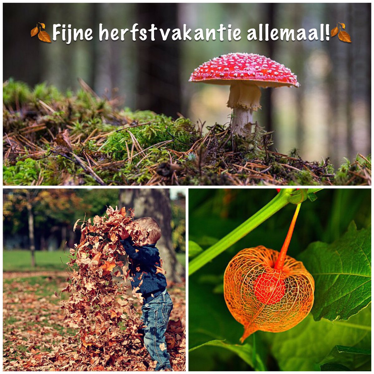 Een hele fijne #herfstvakantie allemaal!