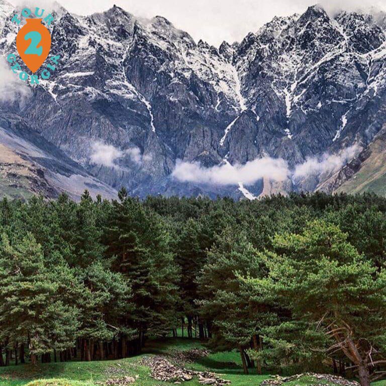 Tour2GeorgiaCom's tweet image. 📩 Please, contact us for detailed tour information and price.
Contact@tour2georgia.com
+995 595 09 09 93
Tour2Georgia
#traveling #tbilisi #tourism #summertrip #hiking #camping #tour2georgia  #georgia  #travel  #tripadvisor #tourist #путешествие  #мцхета #тбилиси #туризм #казбеги