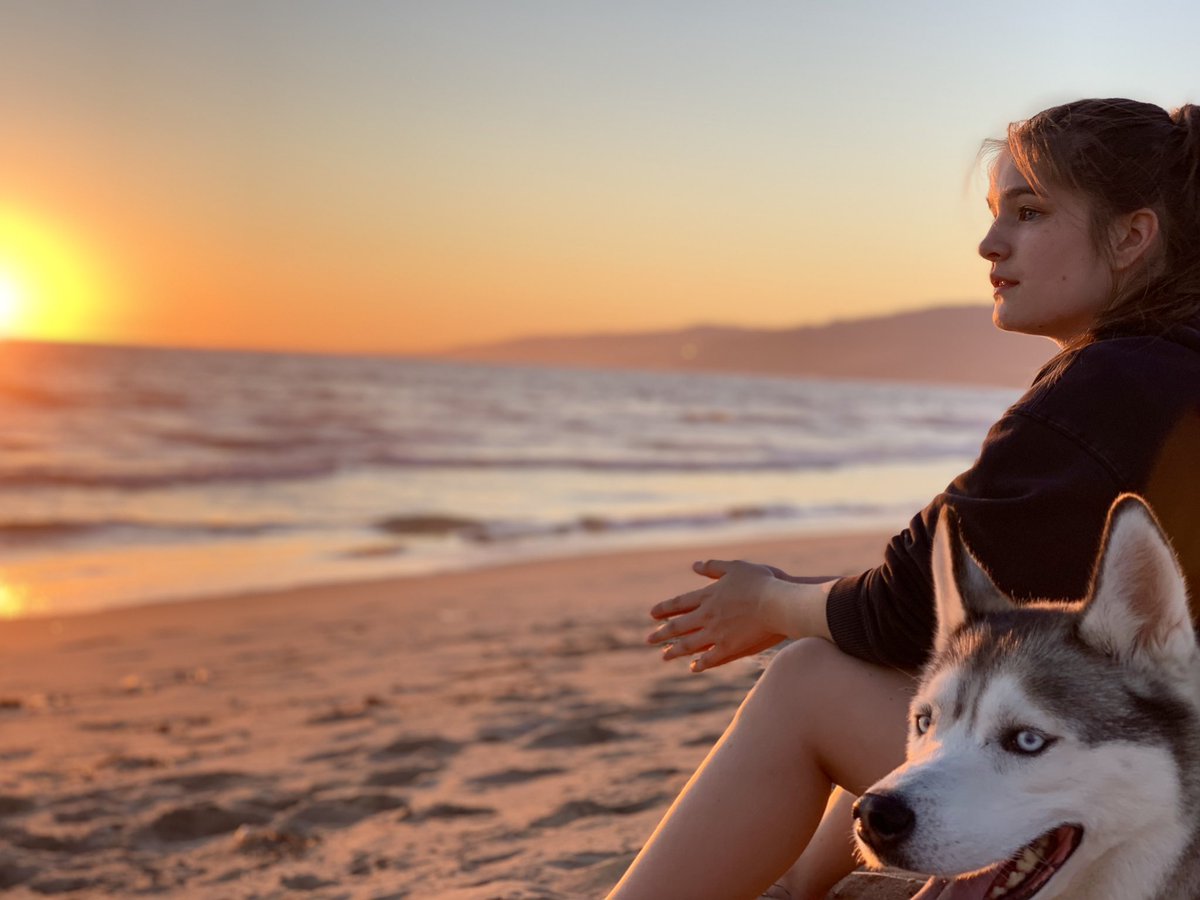 Joe Scarpellino (@jscarpellino) on Twitter photo 