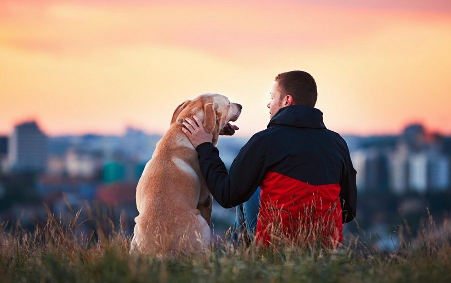 ReporterEmilia's tweet photo. Il “miglior amico” dell’uomo. Da sempre!.Qui il nostro articolo: https://t.co/dPjmxrzlpI #pets #cani #mybestfriend https://t.co/phRsLjSi2U