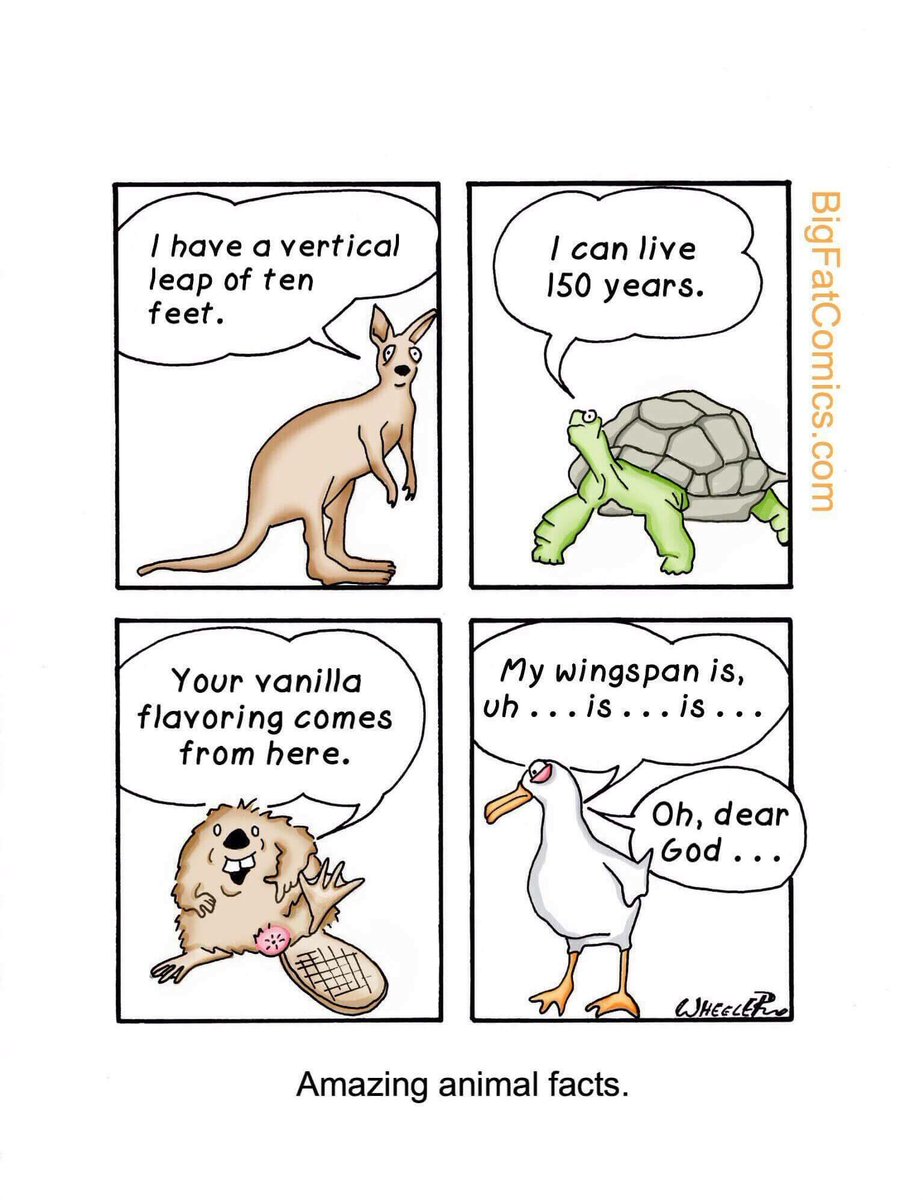 SnakeDarwin's tweet photo. I have no words (yes, this is all true) https://t.co/mQidWRr1EM