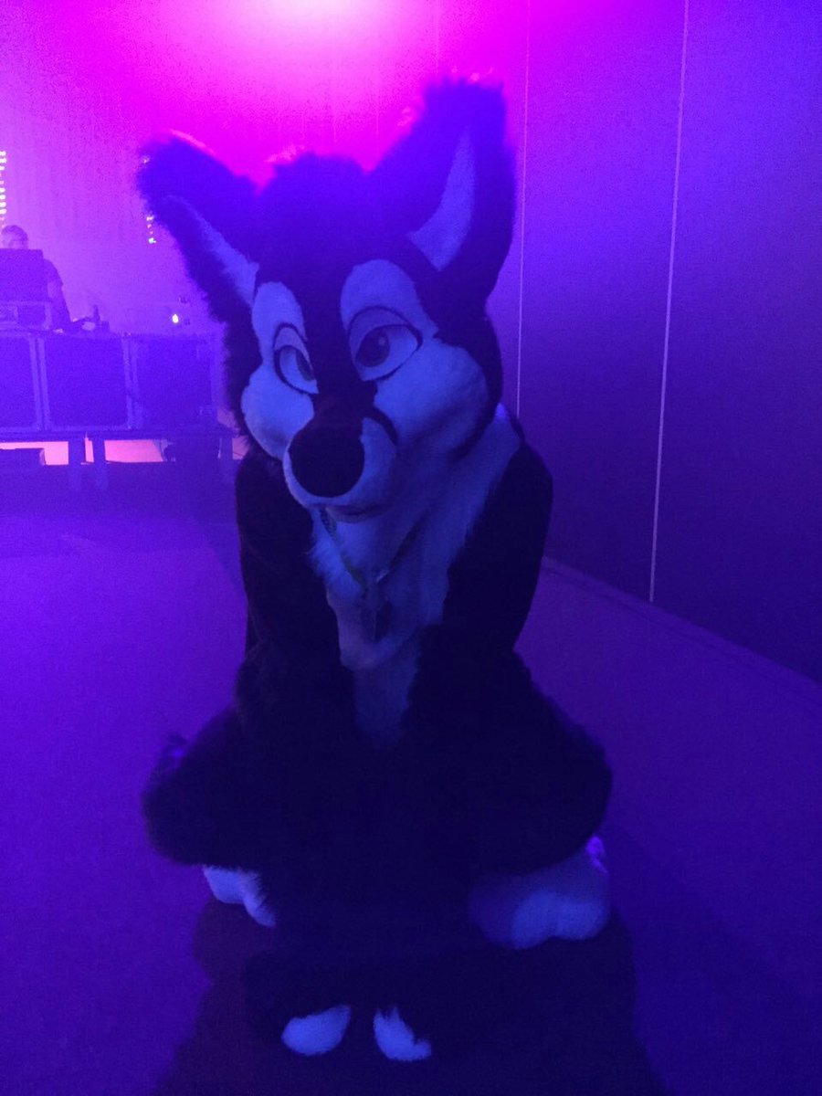 Quba29958367's tweet photo. Dutch furdance was so much fun last weekend :)
π·@pudyflux
#dfd2 #fursuitfriday https://t.co/RL8YmvbQ9J