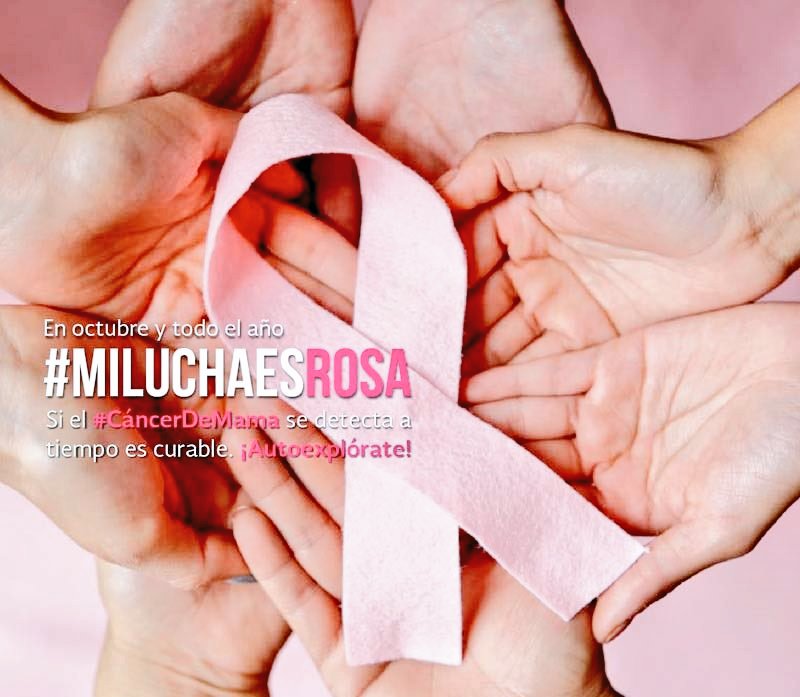 LorenzoRiveraS's tweet photo. #BuenViernes El mes de octubres es el mes de combate contra el #CáncerDeMama, la cual es el tipo de Cáncer más frecuente entre las mujeres, la prevención y el diagnóstico a tiempo son las principales herramienta de salvar vidas. #DíaMundialDelCáncerDeMama https://t.co/bdD80u7xUD