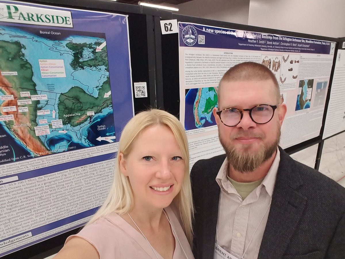 heatherfsmith's tweet photo. #2018SVP, come by posters 62 & 63 to learn about new turtle specimens from the Arlington Archosaur Site (Cenomanian) with @BrentMwu @AriPaleoLab @MidwesternUniv #fossilfriday #TurtleEvolution https://t.co/T3b4GP3XU9