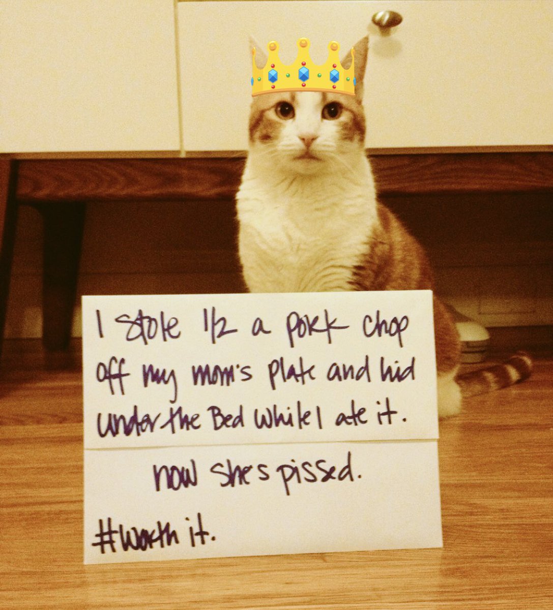 SqueakyMissD's tweet photo. #FlashbackFriday: The Pork Chop Incident.
#FunFactFriday: Still fucking #WorthIt.😹👑😹
#FridayFeeling
#FridayThoughts
#FridayMotivation
#DefiantAF
#2014FTW
#Friyay https://t.co/ot62lVL5GI