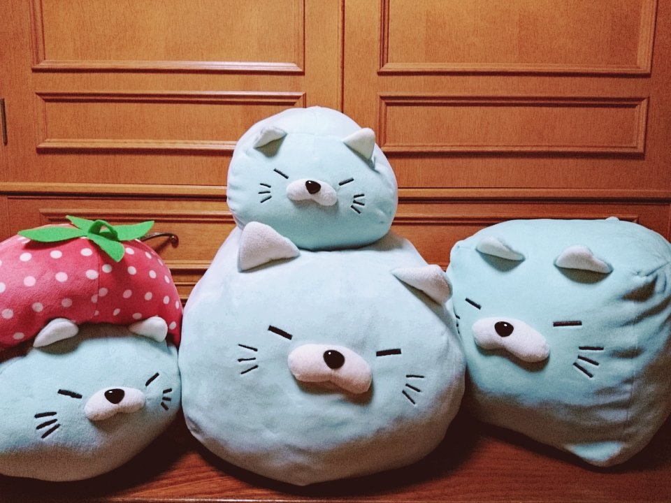 にゃもち 新品 第6弾 のびるよ にゃもち ごろねこサミット ドウシシャ