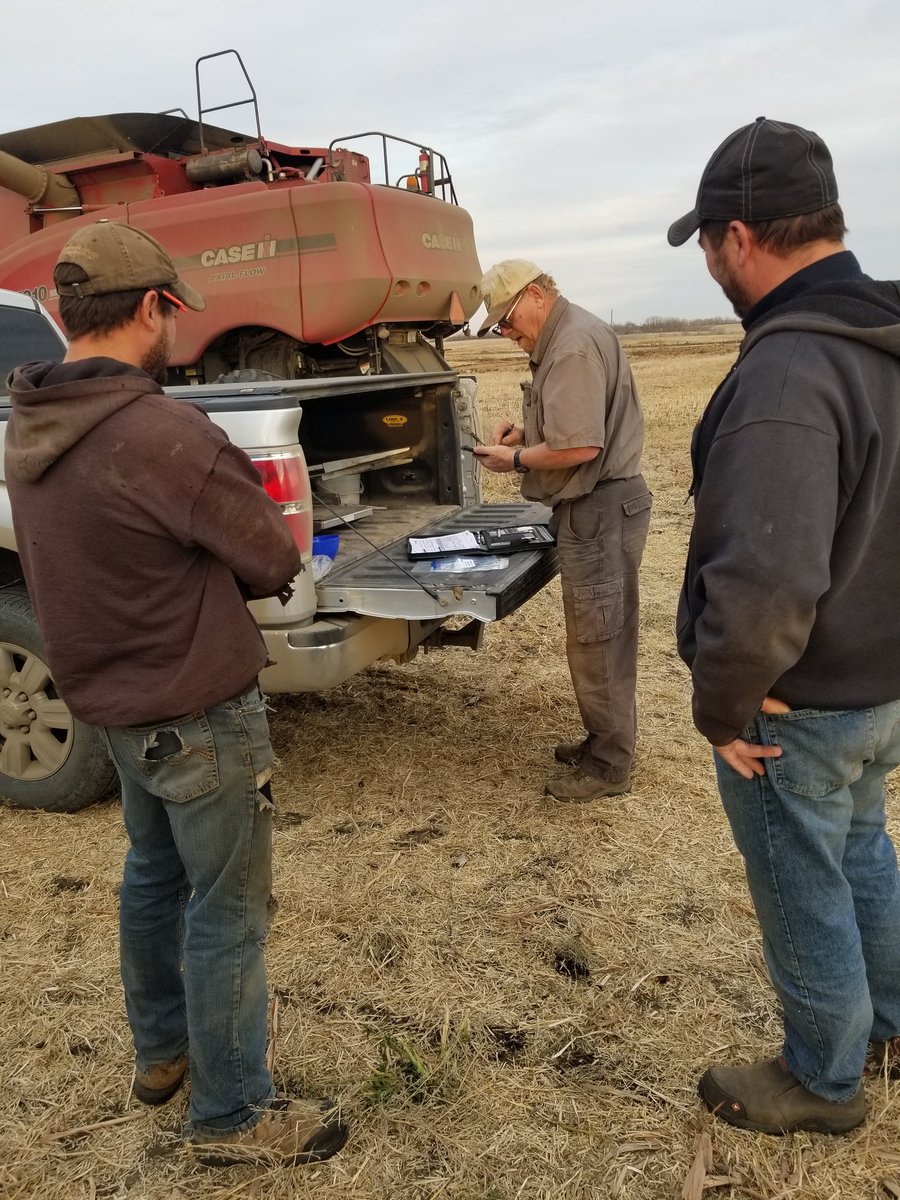 AlVanCaeseele's tweet photo. Great day yesterday to harvest @BrettYoungSeeds BCT. Stop in and see you @BrettYoungSeeds #retail to see how #6074RR #6090RR & 4187RR are performing. Thanks to Chris & Terry Fiesel, @AgCall Carl Husum and @vdcneil for all your hard work and dedication. https://t.co/KQ5CwOidJQ