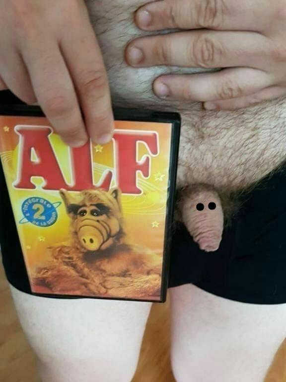 humungoushammer's tweet photo. Kids this is not Alf! Run away!!!! 😂 @SpotTheLoon2010 #notthe80s https://t.co/9SrOHGkeUR
