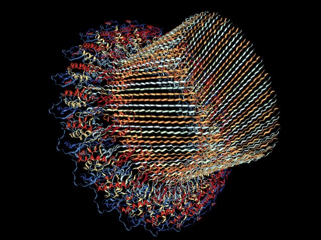 BPoD_s's tweet image. Immune cell proteins assemble to create a 'hole-punch' fatal to bacteria seen close-up using cryo-electron microscopy. Research by @MonashUni in @NatureComms. Read more on bpod.mrc.ac.uk/archive/2018/1… with @MRC_LMS and @DrJohnAnkers