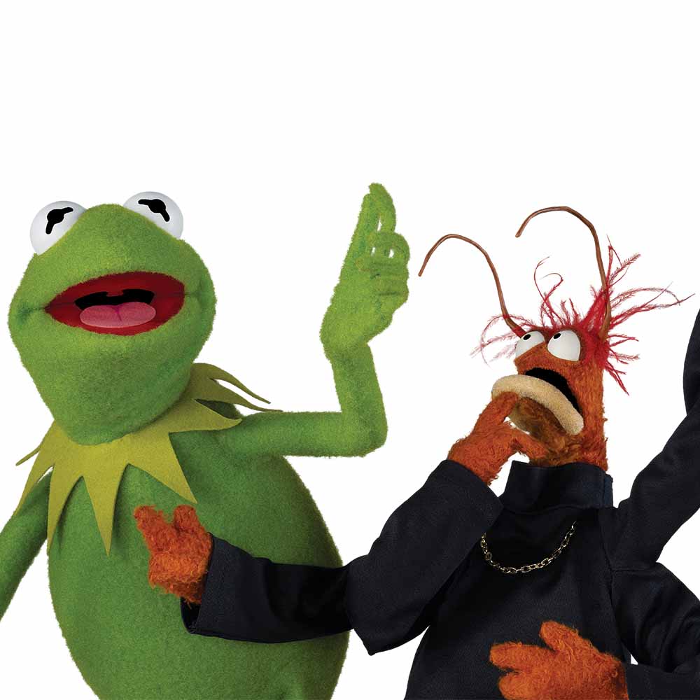 KermitTheFrog's tweet photo. Feeling down? Try dancing! I find that my troubles slip away with a few toe-taps. #FridayFeeling https://t.co/V9lDLdTh0G