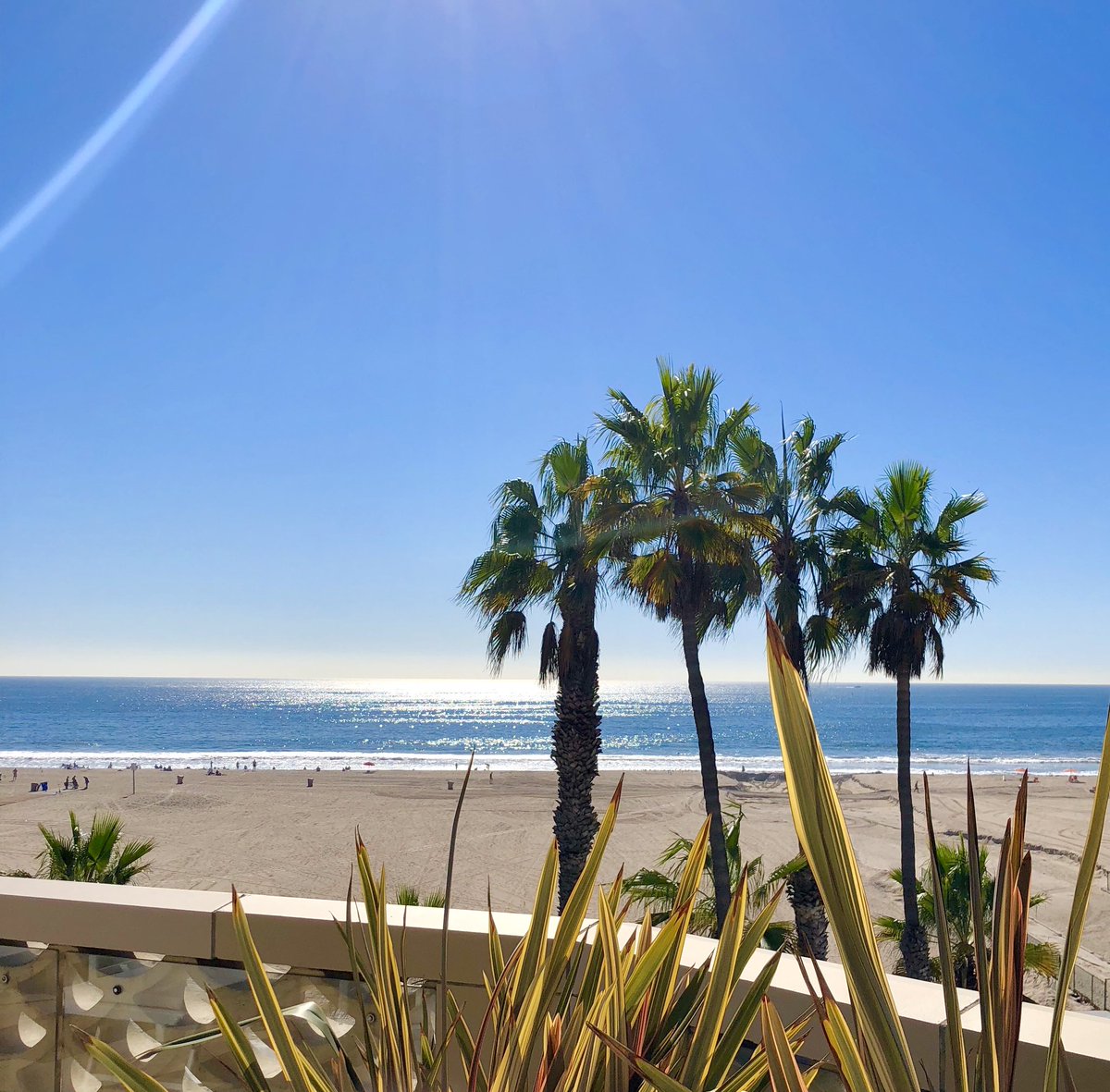 The sea, once casting its spell, has one in its net of wonder forever. -Jacques Cousteau.

Have a great weekend!  #tgif #santamonica #luxuryresort #hotelcasadelmar #lifesabeach #amexplatinum #virtuosotravel #lhw
