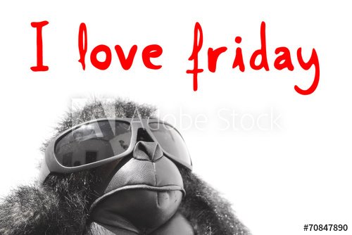 pengenins's tweet photo. It's Friday! Celebrate the weekend by saving on your home insurance and car insurance. Call 877-539-2533 or go online at https://t.co/yO3T21QTQn and get a quote within minutes. https://t.co/fSt1qCSJVH