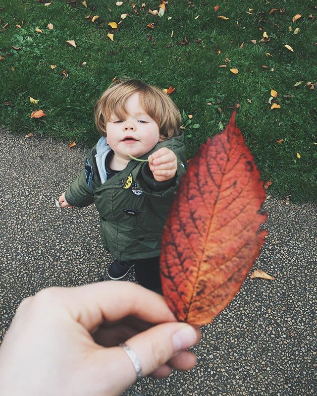 Here’s a Leaf 🍁 // Here’s a Flower 🌹 ift.tt/2NQ6vT4