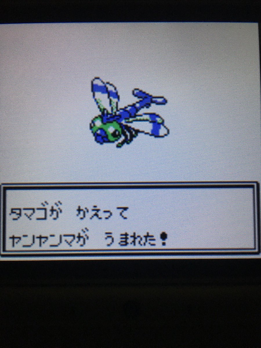 色違いポケモン紹介 Vc産ヤンヤンマ 自由に生きてあそblog