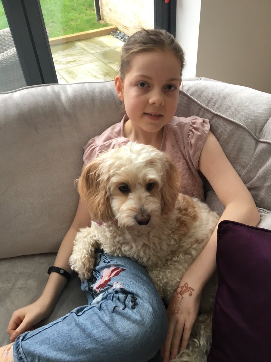 We’ve raised £243,000 for UK #Ependymoma research. A wonderful legacy for our Edie. @CCLG_UK uk.virginmoneygiving.com/fund/EdiesButt…