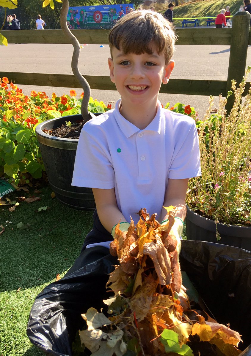 It was time for a tidy up in our #schoolgarden We also enjoyed the autumnal sunshine. Mrs Wheatley #leafmould @RHSSchools @CultivationSt @daviddomoney Had to tag you in today @montysdognigel We’ll miss you on Twitter @GWandShows  🐾