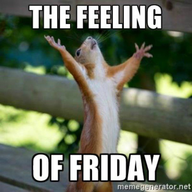 Happy Friday everyone!!
#FridayFeeling #FridayMotivation