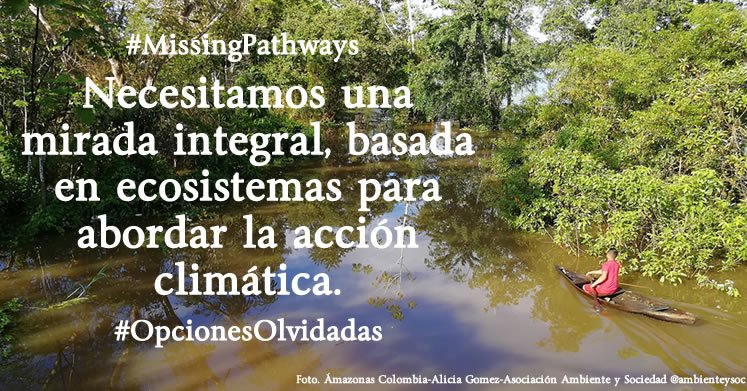 ambienteysoc's tweet image. Los derechos humanos, el derecho a la tierra, los sistemas alimentarios sanos, una rica biodiversidad y ecosistemas saludables son necesarios para una acción climática justa y sostenible. @CLARA_Alliance #MissingPathways #OpcionesOlvidadas