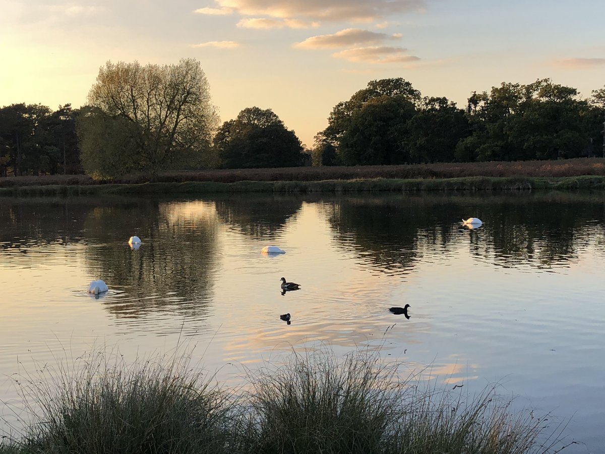 linacrepeter's tweet photo. More Autumnal Hues https://t.co/GyER5F3VDx