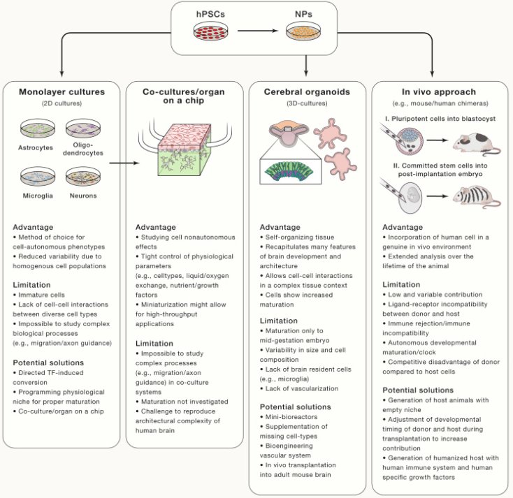 view der einfluß von vanadin molybdän silizium und kohlenstoff auf die festigkeitseigenschaften insbesondere die dauerstandfestigkeit vergüteter