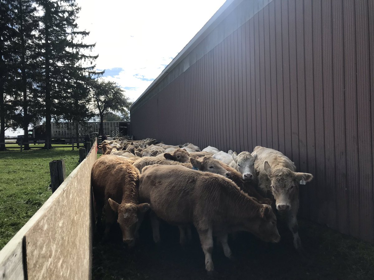 ScottRGilmore's tweet photo. Last day of #Pasture18 at Cow Paddy Ranch! https://t.co/79ViqOSz6b