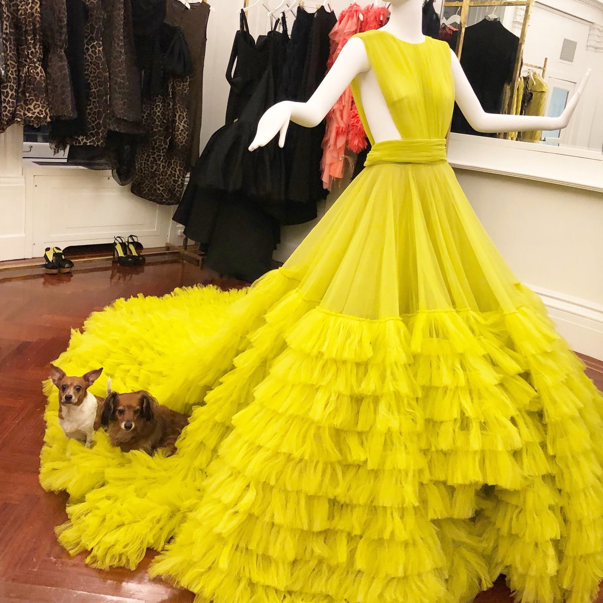 christian siriano yellow dress