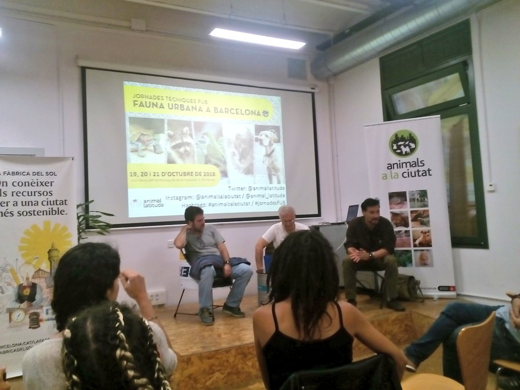 eliavg_bio's tweet photo. Ara debatim sobre els #GatsFerals i #ColoniesControladesGats a #Barcelona @animallatitude #JornadesFUB https://t.co/KjzDni9VKB