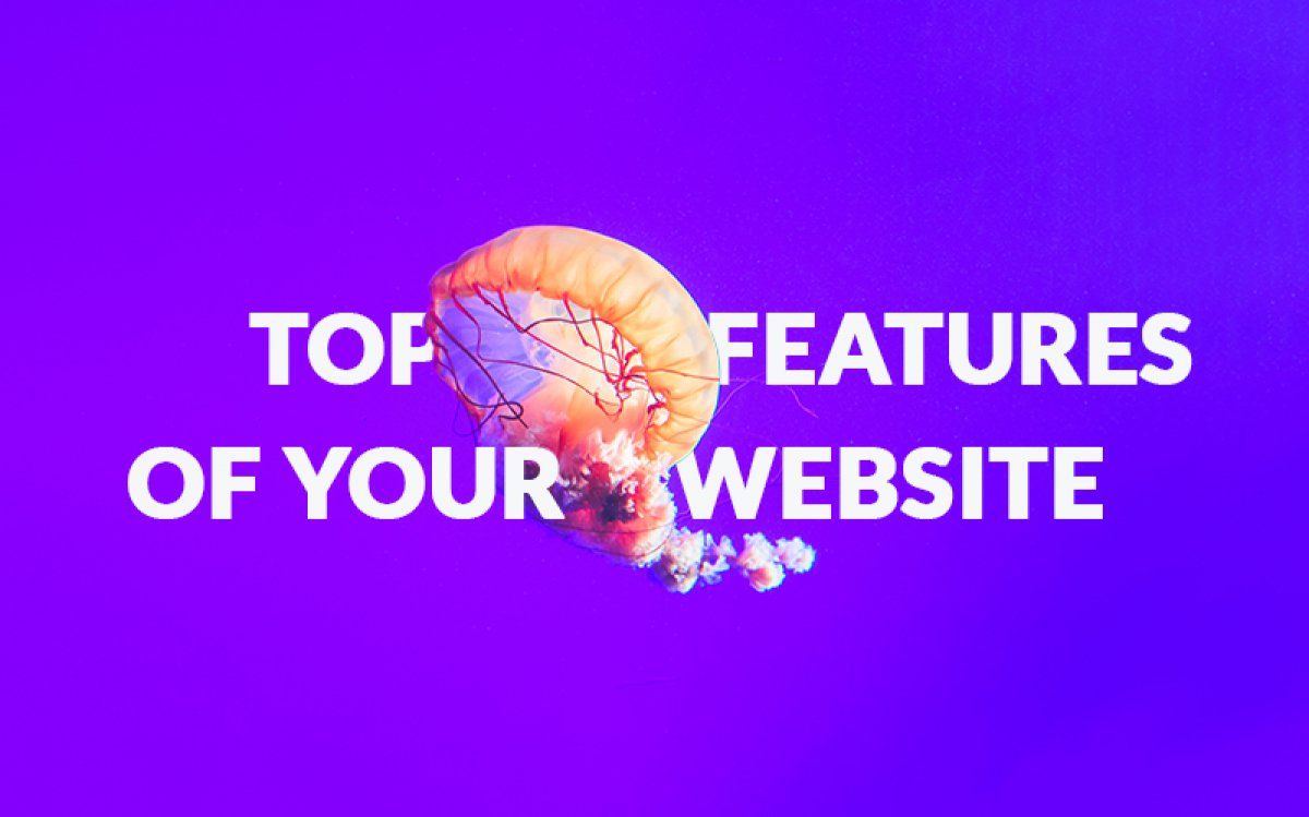 Upxcel's tweet photo. Small business website features that you don't want to miss: https://t.co/YHeD7AGwB7

#website #smallbusiness #webdesign https://t.co/itCNoSeNPS