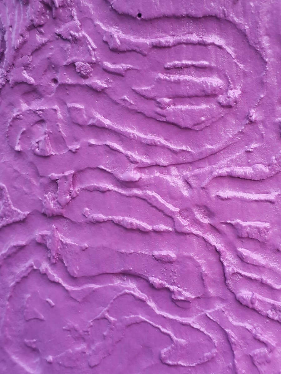 Dans le Corridor vert des 5 écoles, 7 arbres ont été métamorphosés pour sensibiliser la population aux dommages causés par l’agrile du frêne. Une collaboration de l'Arrondissement de Montréal-Nord​, de la coop de solidarité Éconord, de l'école le Carignan et de la <a href="/Soverdimtl/">Soverdi</a> .