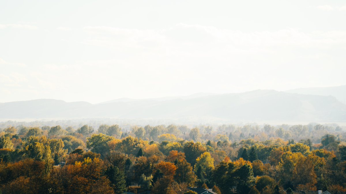 Colorado State University tweet media