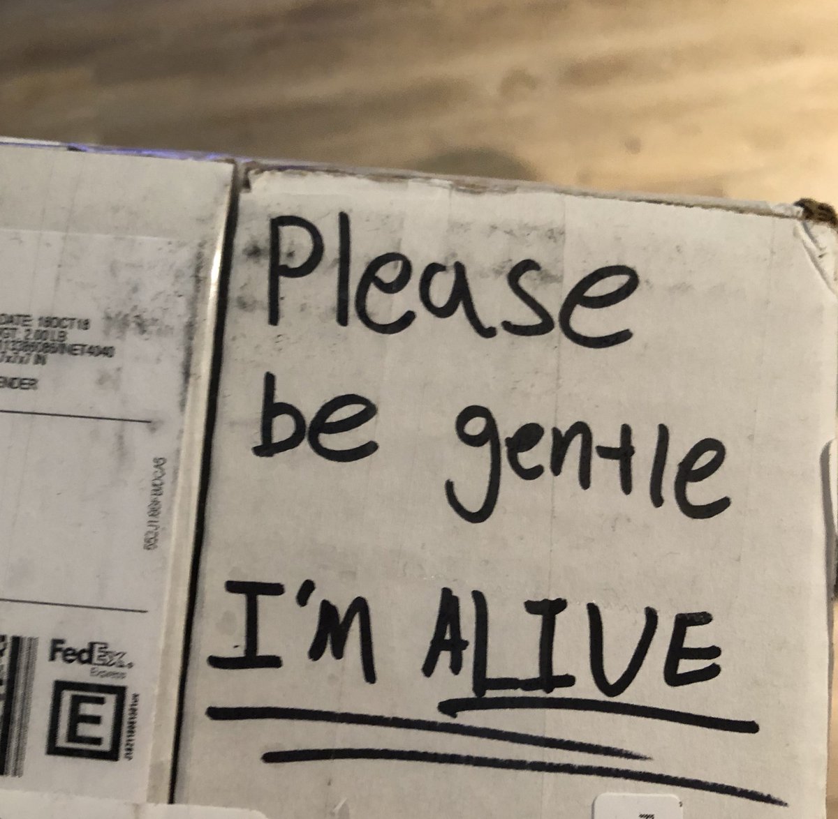 me during any human interaction ever