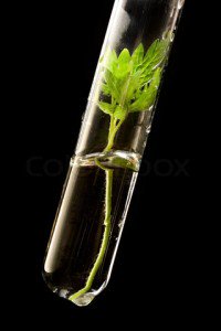 Save_Mongolian's tweet photo. AGRONOMY, АГРОНОМИЯ – ТАРИАЛАН ЗҮЙ (хүнс, шатахуун, нэхмэлийн гэх мэт зориулалтаар хэрхэн https://t.co/qtdHOlfX8z https://t.co/CGWz2BYLun