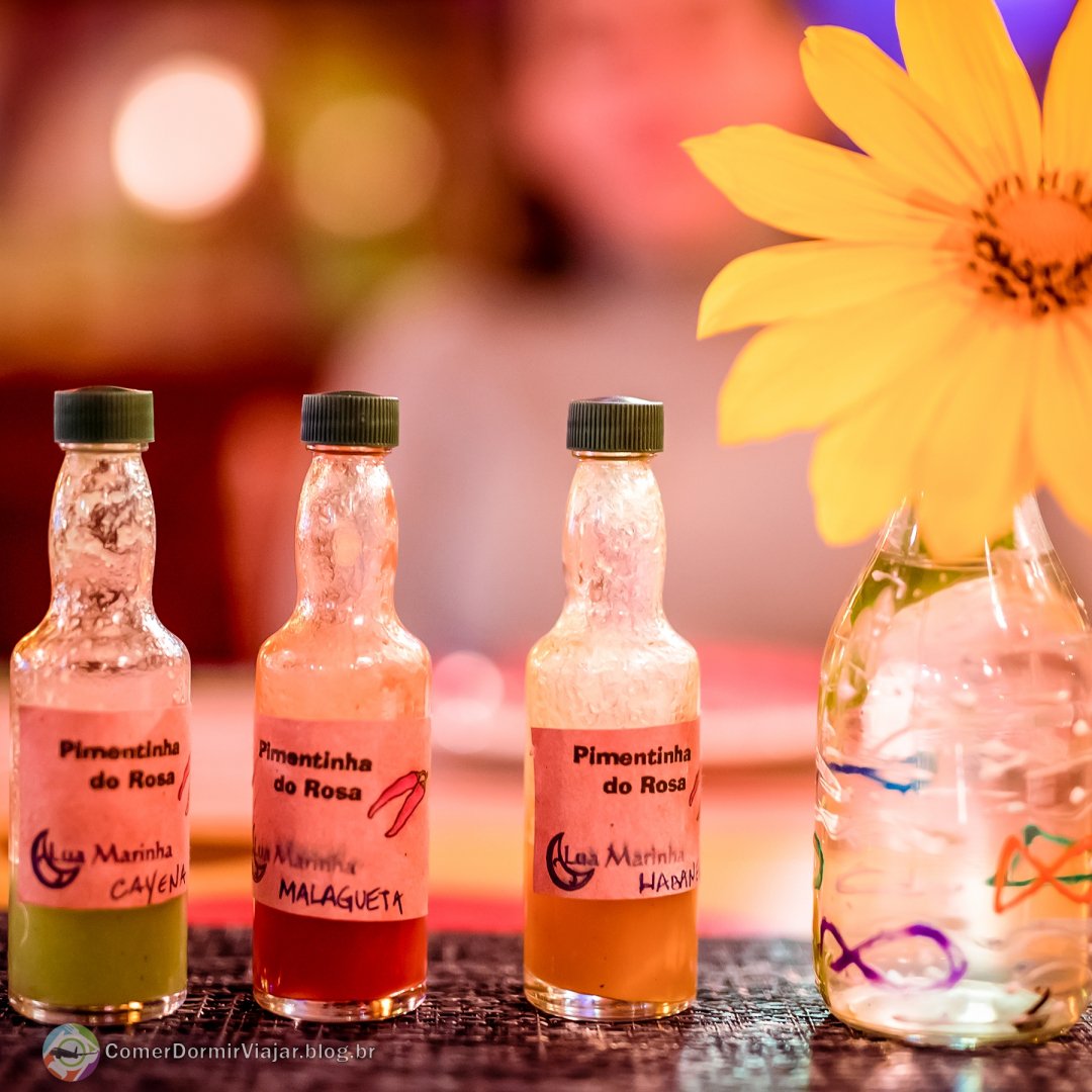 Comer Dormir Viajar tweet media