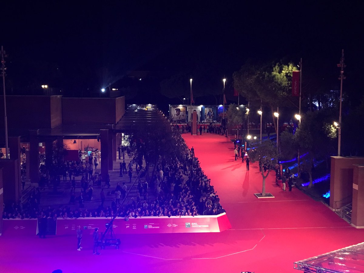 Isabella Di Chio tweet media