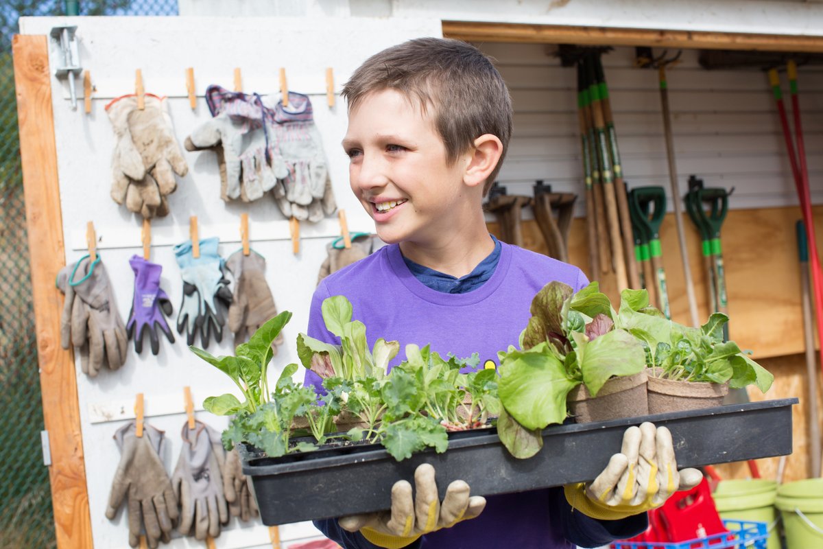 annieshomegrown's tweet image. Connecting kids to gardens helps them understand where their food comes from. 🙏 One more reason to apply for a garden grant for your kids' school today: bit.ly/2CPvJQu