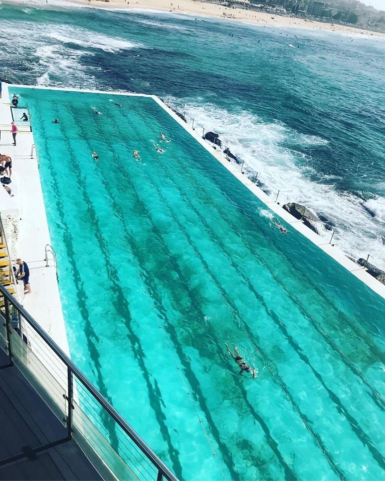 icebergsclub's tweet photo. Poolside this morning! #BondiIcebergs https://t.co/yC5zwEX2jB