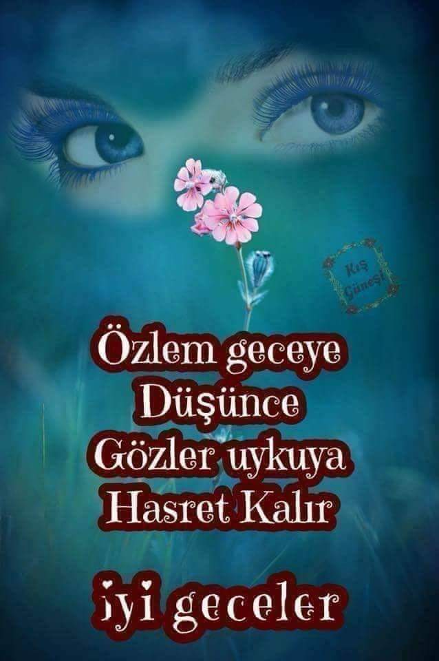 Kemal Arslan (@arslanramazan) on Twitter photo 