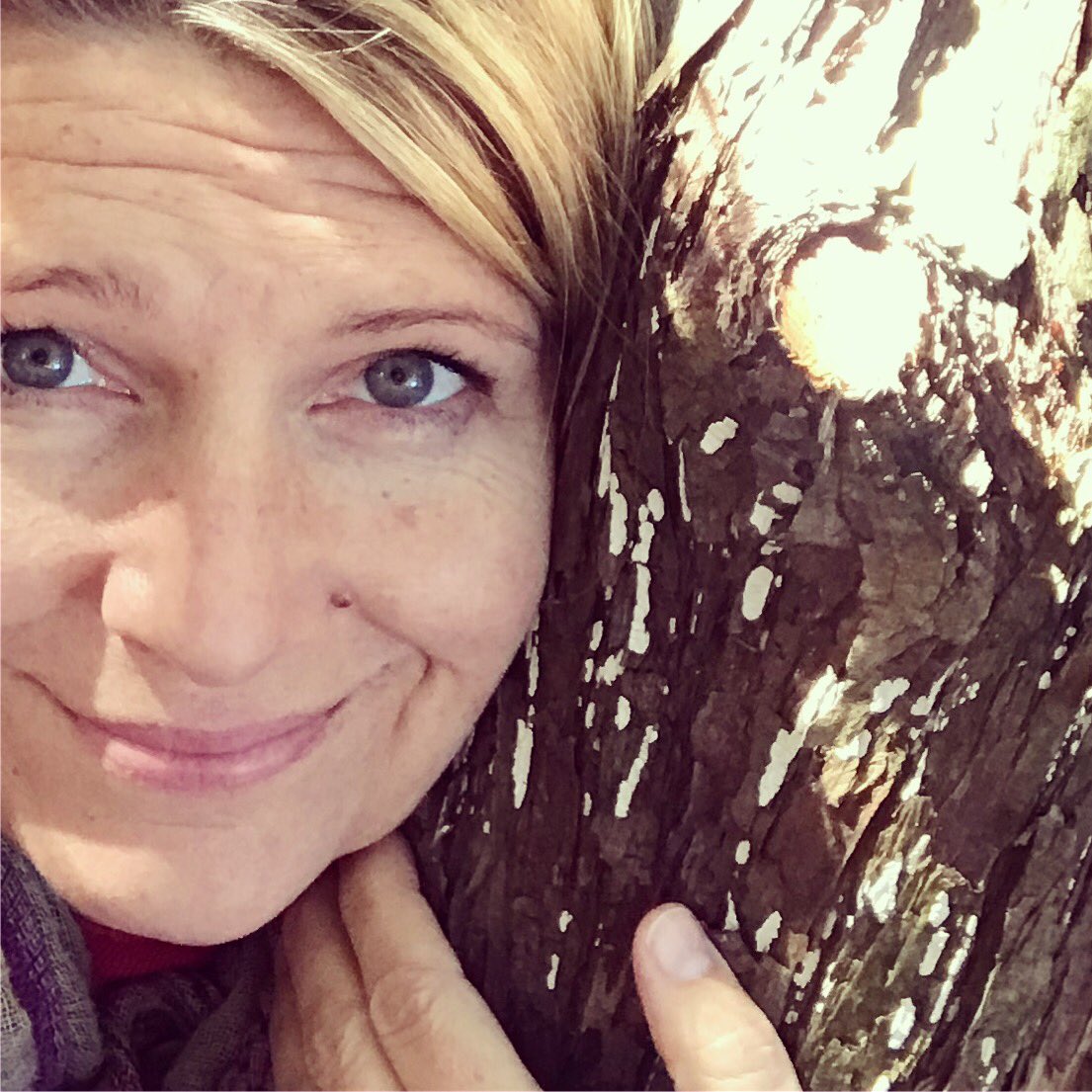 Elevate_Create's tweet photo. Have you hugged a tree lately? #elevateandcreate #elevateandcreateretreats https://t.co/gKYieYD7DC