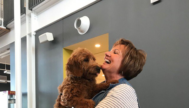 This Iowa insurance company brought in a dog as an employee perk