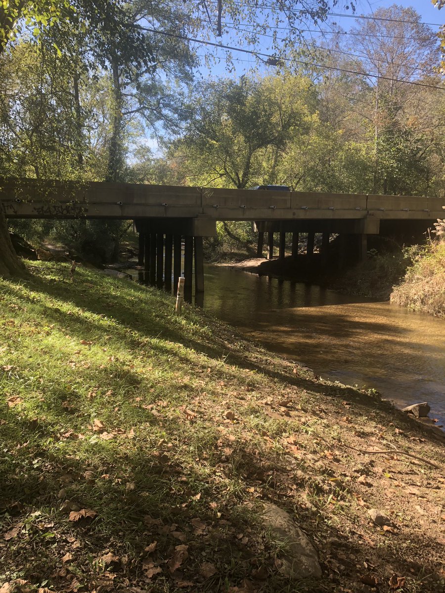 Terri_R_Major's tweet photo. Fall in NC! My favorite time of year!! #fallinnc https://t.co/Hm3bbJiHWy