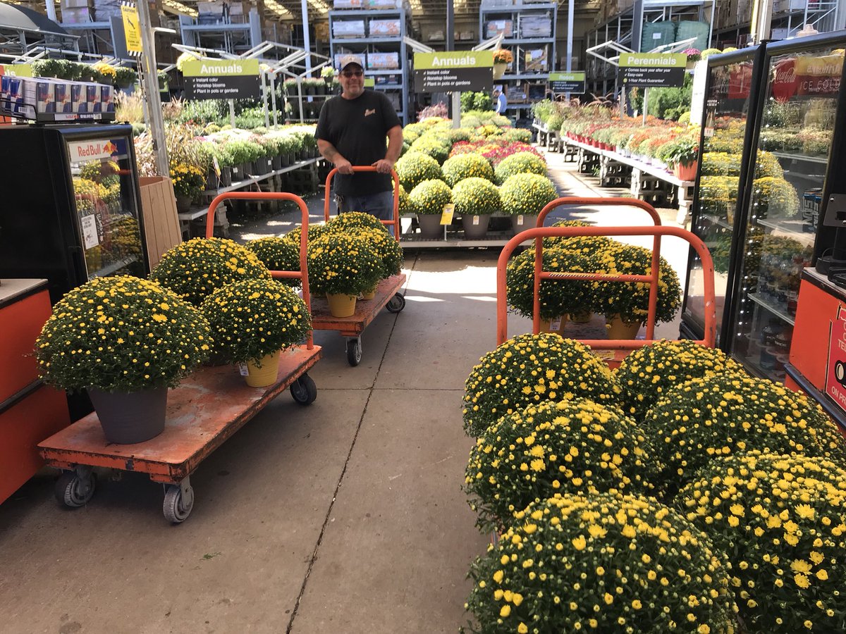HD732 provided carts and carts of beautiful yellow mums to help bring fall color to a Nashville hotel <a href="/ToddDrew/">Todd Drew</a> “<a href="/Edward_Shelley/">Ed Shelley</a> <a href="/mjlojewski/">Michelle Lojewski</a> @PPSinHD <a href="/DyerEric18/">Eric Dyer</a>