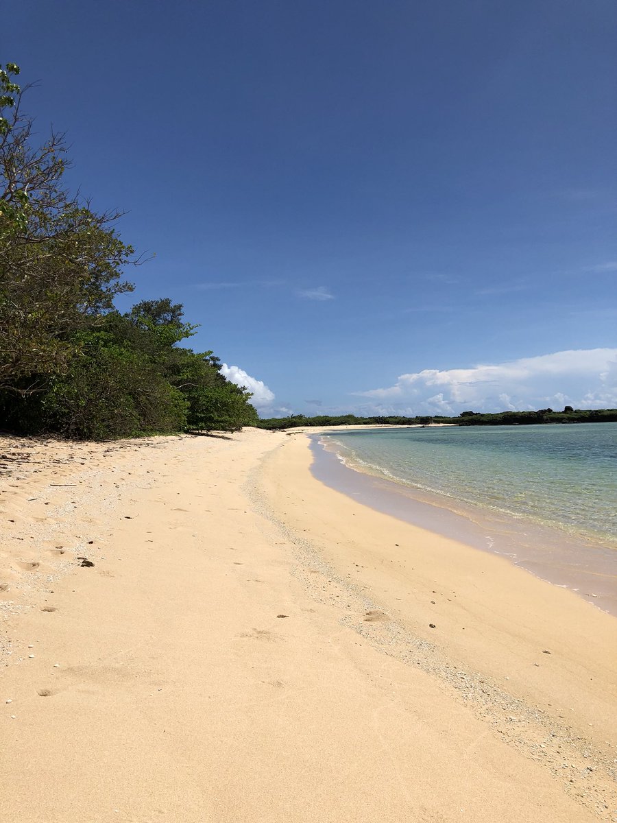SwimJchallenge's tweet photo. Announcing our newest swim destination, and our calendar of races in 2019, at 12noon today on our facebook page. https://t.co/ys07SBV9H9